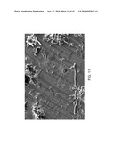 METHODS OF FABRICATING NANOSTRUCTURED ZnO ELECTRODES FOR EFFICIENT DYE SENSITIZED SOLAR CELLS diagram and image