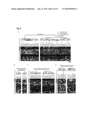 Profiling for Determination of Response to Treatment for Inflammatory Disease diagram and image