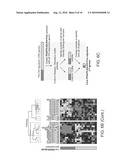 Profiling for Determination of Response to Treatment for Inflammatory Disease diagram and image