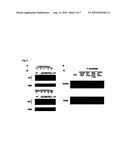 BIOLOGICAL AGENTS ACTIVE IN CENTRAL NERVOUS SYSTEM diagram and image