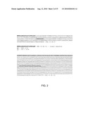 FUSION PROTEINS CONTAINING TWO TGF-BETA BINDING DOMAINS OF TGF-BETA TYPE II RECEPTOR diagram and image