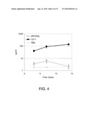 FUSION PROTEINS CONTAINING TWO TGF-BETA BINDING DOMAINS OF TGF-BETA TYPE II RECEPTOR diagram and image