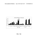 FUSION PROTEINS CONTAINING TWO TGF-BETA BINDING DOMAINS OF TGF-BETA TYPE II RECEPTOR diagram and image