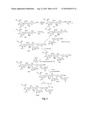 HETEROBIFUNCTIONAL PAN-SELECTIN INHIBITORS diagram and image