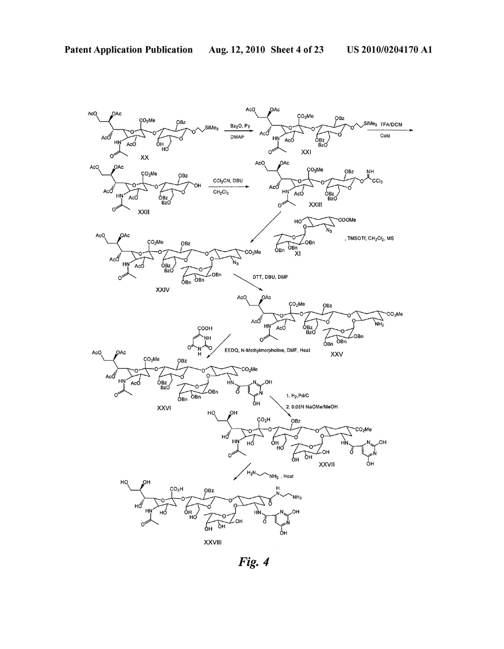 HETEROBIFUNCTIONAL PAN-SELECTIN INHIBITORS - diagram, schematic, and image 05