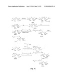 HETEROBIFUNCTIONAL PAN-SELECTIN INHIBITORS diagram and image