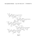 HETEROBIFUNCTIONAL PAN-SELECTIN INHIBITORS diagram and image