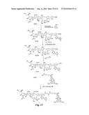 HETEROBIFUNCTIONAL PAN-SELECTIN INHIBITORS diagram and image