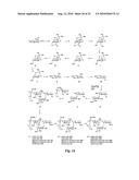 HETEROBIFUNCTIONAL PAN-SELECTIN INHIBITORS diagram and image