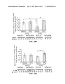 AGENTS, COMPOSITIONS AND METHODS FOR ENHANCING NEUROLOGICAL FUNCTION diagram and image