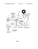 INHIBITORS OF CATHEPSIN S diagram and image