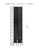 Reducible polymers for nonviral gene delivery diagram and image