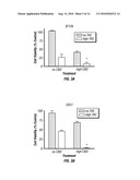 METHODS AND COMPOSITIONS FOR TREATING CANCER diagram and image