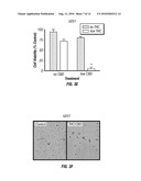 METHODS AND COMPOSITIONS FOR TREATING CANCER diagram and image