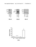 METHODS AND COMPOSITIONS FOR TREATING CANCER diagram and image