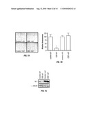 METHODS AND COMPOSITIONS FOR TREATING CANCER diagram and image