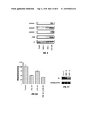 METHODS AND COMPOSITIONS FOR TREATING CANCER diagram and image