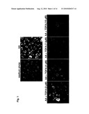 METHODS OF TREATING DERMATOLOGICAL DISORDERS OR CONDITIONS diagram and image