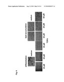 METHODS OF TREATING DERMATOLOGICAL DISORDERS OR CONDITIONS diagram and image