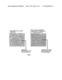 ORALLY BIOAVAILABLE STILBENOIDS- COMPOSITIONS AND THERAPEUTIC APPLICATIONS THEREOF diagram and image