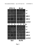 USE OF ANITMICROBIAL PROTEINS AND PEPTIDES FOR THE TREATMENT OF OTITIS MEDIA AND PARANASAL SINUSITIS diagram and image