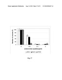 USE OF ANITMICROBIAL PROTEINS AND PEPTIDES FOR THE TREATMENT OF OTITIS MEDIA AND PARANASAL SINUSITIS diagram and image