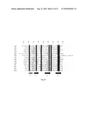 USE OF ANITMICROBIAL PROTEINS AND PEPTIDES FOR THE TREATMENT OF OTITIS MEDIA AND PARANASAL SINUSITIS diagram and image