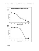 NATURAL BRASSINOSTEROIDS FOR USE FOR TREATING HYPERPROLIFERATION, TREATING PROLIFERATIVE DISEASES AND REDUCING ADVERSE EFFECTS OF STEROID DYSFUNCTION IN MAMMALS, PHARMACEUTICAL COMPOSITION AND ITS USE diagram and image