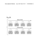 RESPIRATION TYPE EVALUATION APPARATUS diagram and image