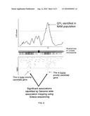 METHOD FOR SELECTING STATISTICALLY VALIDATED CANDIDATE GENES diagram and image