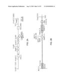 DWF4 Polynucleotides, Polypeptides and Uses Thereof diagram and image