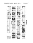 DWF4 Polynucleotides, Polypeptides and Uses Thereof diagram and image