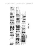 DWF4 Polynucleotides, Polypeptides and Uses Thereof diagram and image