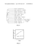 DWF4 Polynucleotides, Polypeptides and Uses Thereof diagram and image