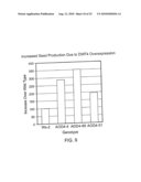 DWF4 Polynucleotides, Polypeptides and Uses Thereof diagram and image