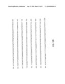 DWF4 Polynucleotides, Polypeptides and Uses Thereof diagram and image