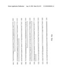 DWF4 Polynucleotides, Polypeptides and Uses Thereof diagram and image