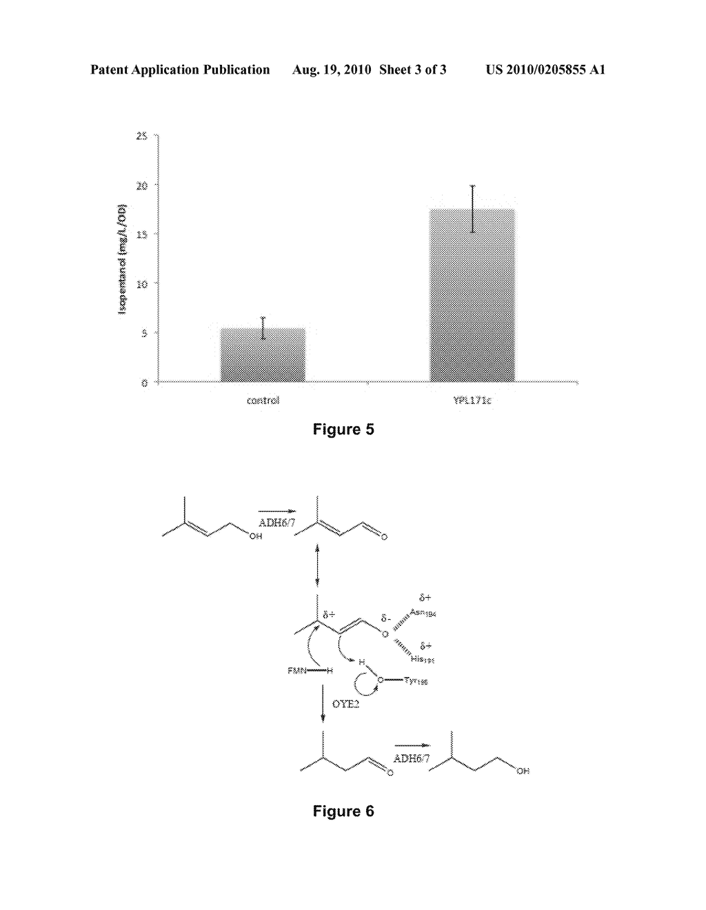 Host Cells and Methods for Producing 3-Methyl-2-buten-1-ol, 3-Methyl-3-buten-1-ol, and 3-Methyl-butan-1-ol - diagram, schematic, and image 04