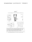 Coated oil and gas well production devices diagram and image