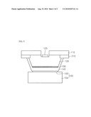 LIGHT EMITTING DEVICE diagram and image