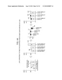 IMAGE PROCESSING APPARATUS AND IMAGE PROCESSING METHOD diagram and image