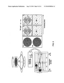 POLARIZATION MONITORING RETICLE DESIGN FOR HIGH NUMERICAL APERTURE LITHOGRAPHY SYSTEMS diagram and image