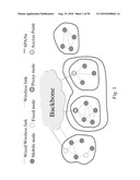 Systems and Methods for Creating, Managing and Communicating Users and Applications on Spontaneous Area Networks diagram and image