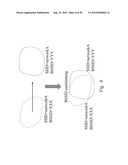 Systems and Methods for Creating, Managing and Communicating Users and Applications on Spontaneous Area Networks diagram and image