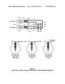 Volume-Adjustment Circuit for Equilibrating Pickup Settings diagram and image