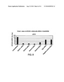 APCDD1 INHIBITORS FOR TREATING, DIAGNOSING OR DETECTING CANCER diagram and image