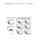 APCDD1 INHIBITORS FOR TREATING, DIAGNOSING OR DETECTING CANCER diagram and image