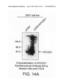 APCDD1 INHIBITORS FOR TREATING, DIAGNOSING OR DETECTING CANCER diagram and image