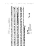 APCDD1 INHIBITORS FOR TREATING, DIAGNOSING OR DETECTING CANCER diagram and image