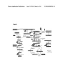 Biofilm Treatment diagram and image